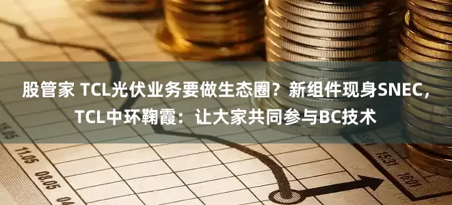股管家 TCL光伏业务要做生态圈？新组件现身SNEC，TCL中环鞠霞：让大家共同参与BC技术